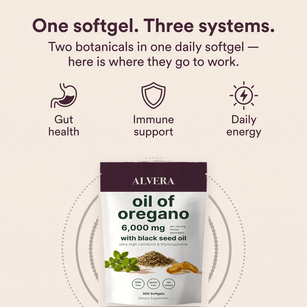 One softgel, three systems — gut health, immune support and daily energy