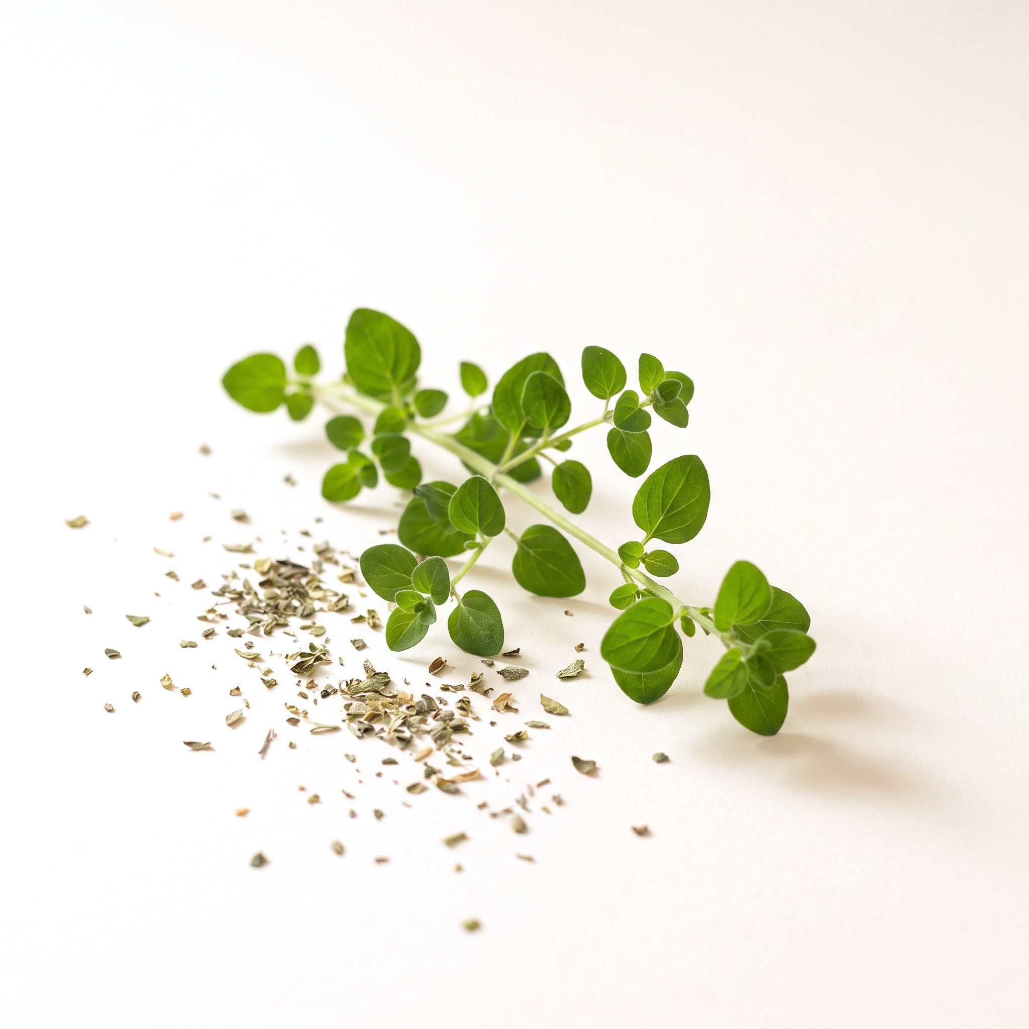 Oregano Oil